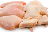 poultry